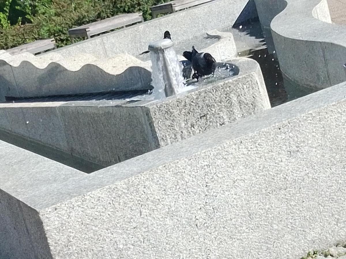 Dreapart Pruszcz Gdański Exteriör bild